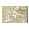 'Dogwood in Spring Neutral Crop' by Danhui Nai, Canvas Wall Art