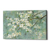 'Dogwood in Spring on Blue' by Danhui Nai, Canvas Wall Art