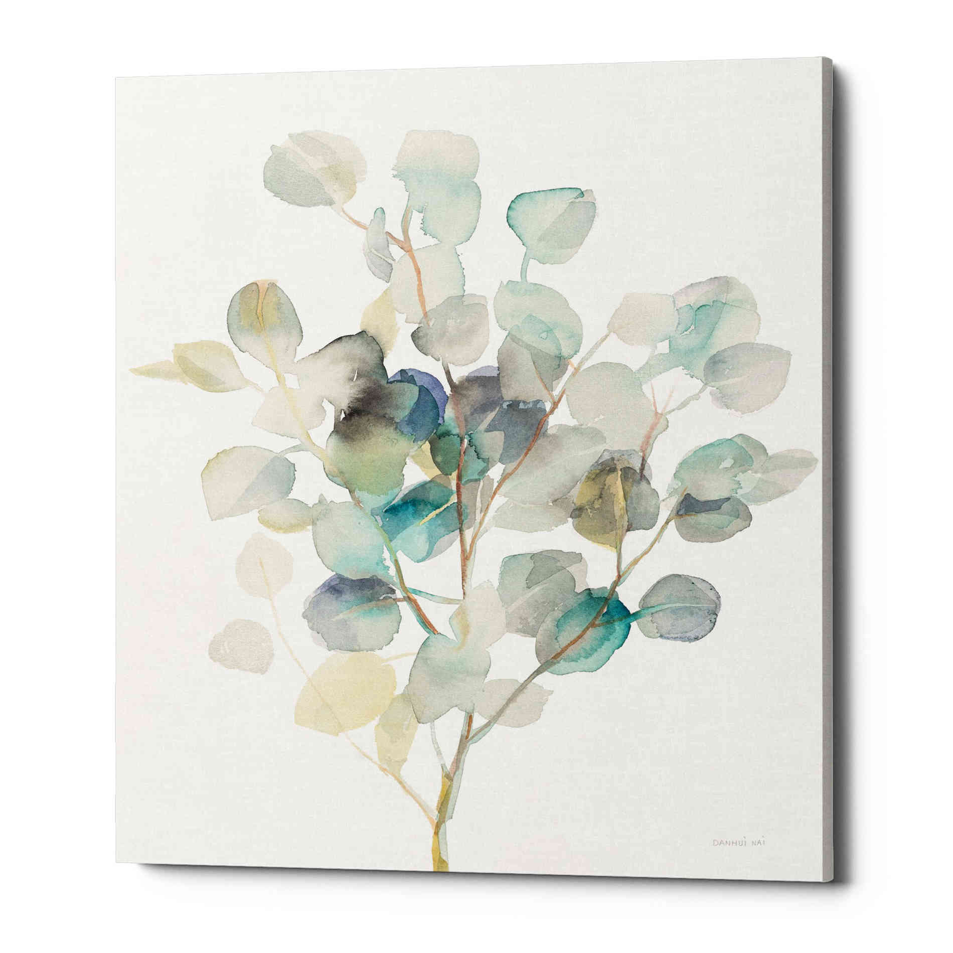 'Eucalyptus III White' by Danhui Nai, Canvas Wall Art