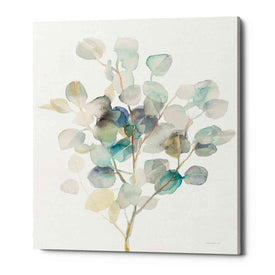'Eucalyptus III White' by Danhui Nai, Canvas Wall Art