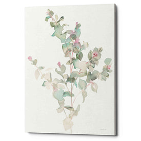 'Eucalyptus II White' by Danhui Nai, Canvas Wall Art