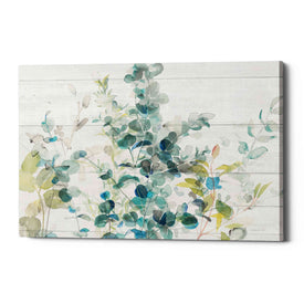 'Eucalyptus I on Shiplap Crop' by Danhui Nai, Canvas Wall Art