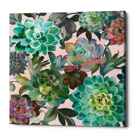 Image of 'Floral Succulents v2 Crop on Pink' by Danhui Nai, Canvas Wall Art