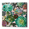 'Floral Succulents v2 Crop on Pink' by Danhui Nai, Canvas Wall Art