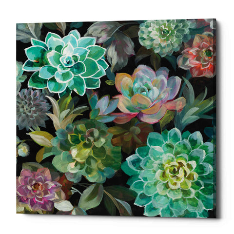 Image of 'Floral Succulents v2 Crop' by Danhui Nai, Canvas Wall Art