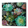 'Floral Succulents v2 Crop' by Danhui Nai, Canvas Wall Art