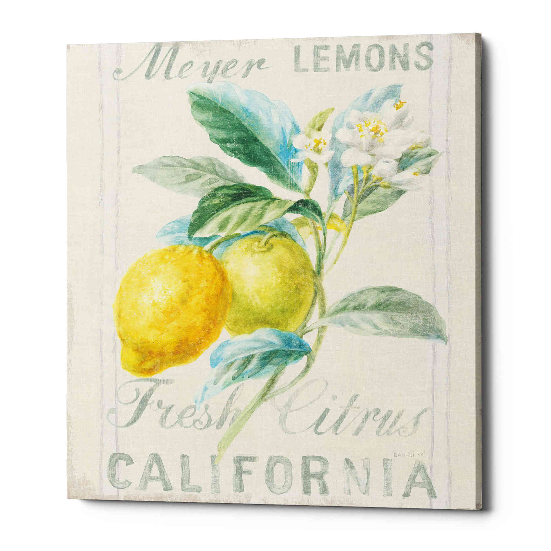 'Floursack Lemon II' by Danhui Nai, Canvas Wall Art