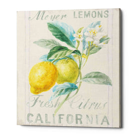'Floursack Lemon II' by Danhui Nai, Canvas Wall Art
