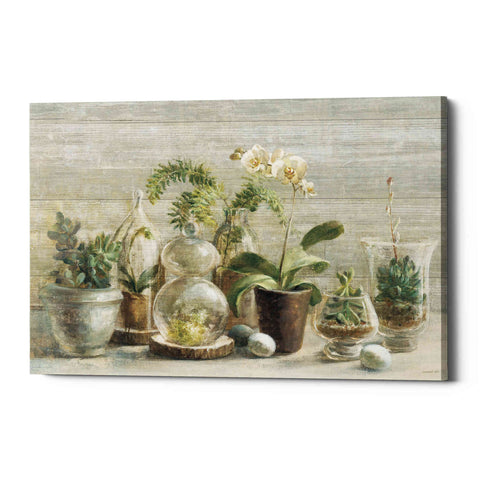 Image of 'Greenhouse Orchids on Wood' by Danhui Nai, Canvas Wall Art