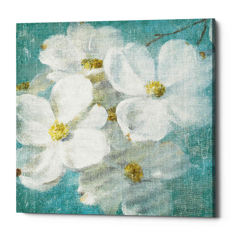 Image of 'Indiness Blossom Square Vintage II' by Danhui Nai, Canvas Wall Art