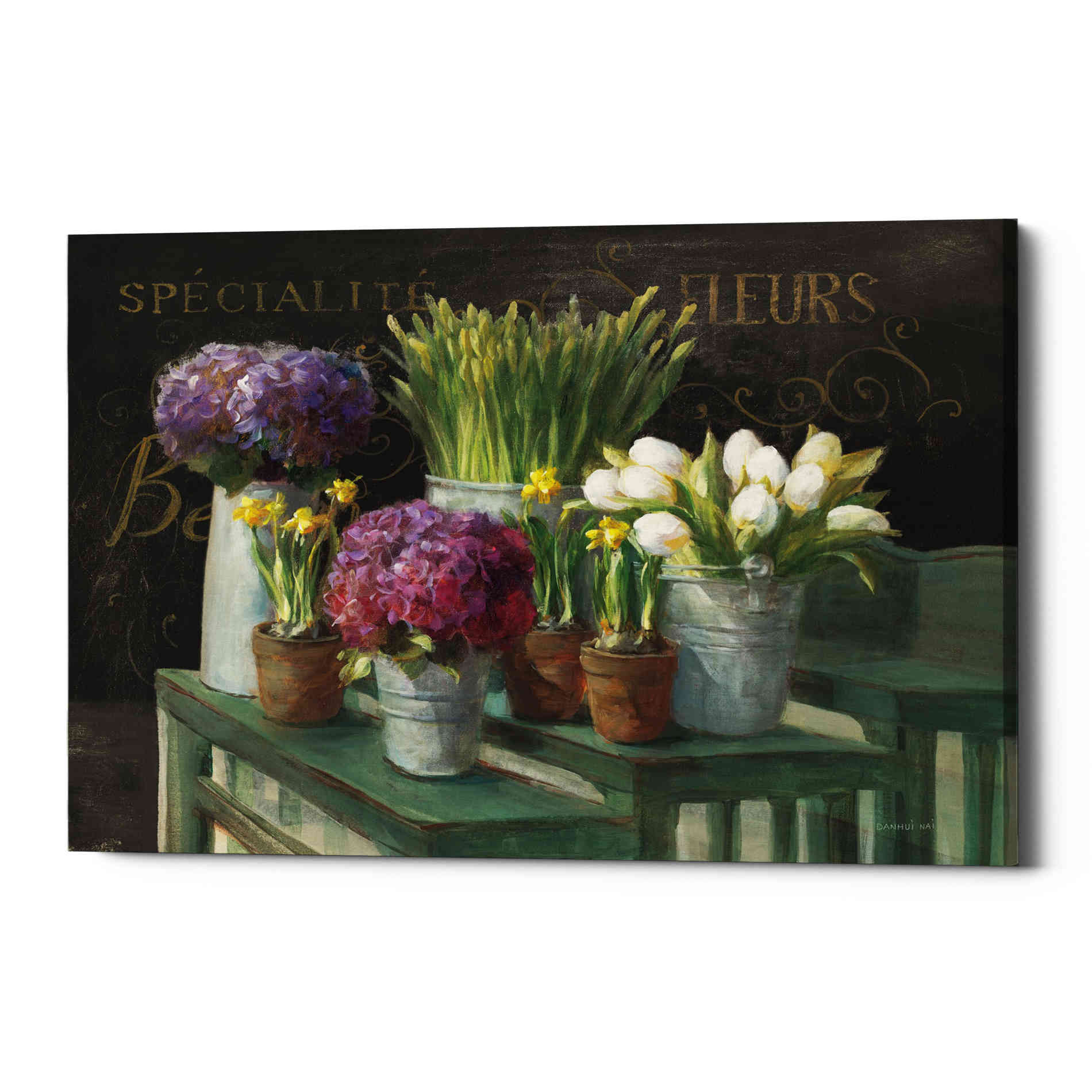 'Les Fleurs Printemps on Black' by Danhui Nai, Canvas Wall Art