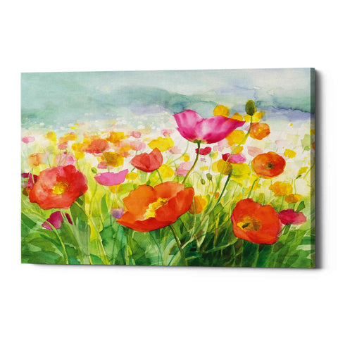 Image of 'Meadow Poppies' by Danhui Nai, Canvas Wall Art