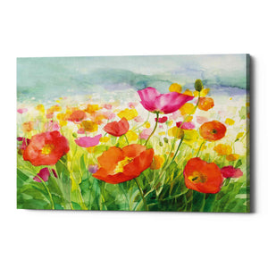 'Meadow Poppies' by Danhui Nai, Canvas Wall Art