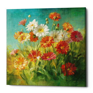 'Painted Daisies' by Danhui Nai, Canvas Wall Art