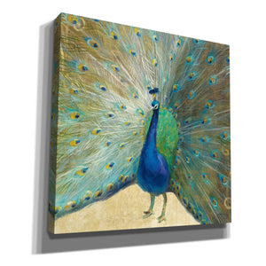 'Blue Peacock' by Danhui Nai, Canvas Wall Art