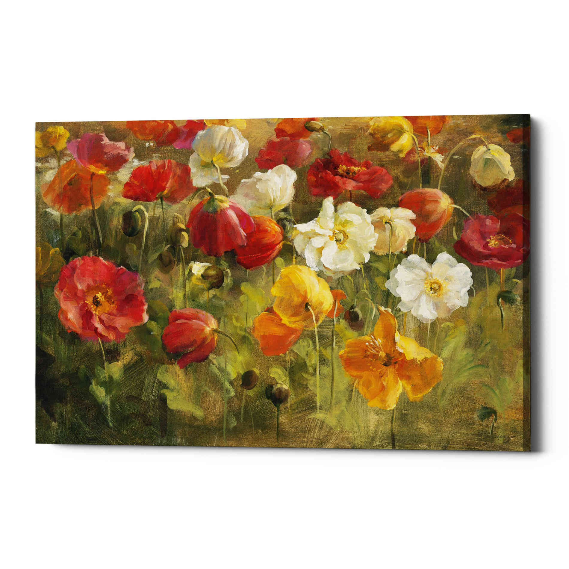 'Poppy Field' by Danhui Nai, Canvas Wall Art