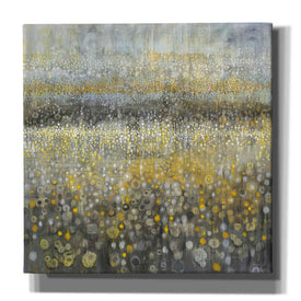 'Rain Abstract II' by Danhui Nai, Canvas Wall Art