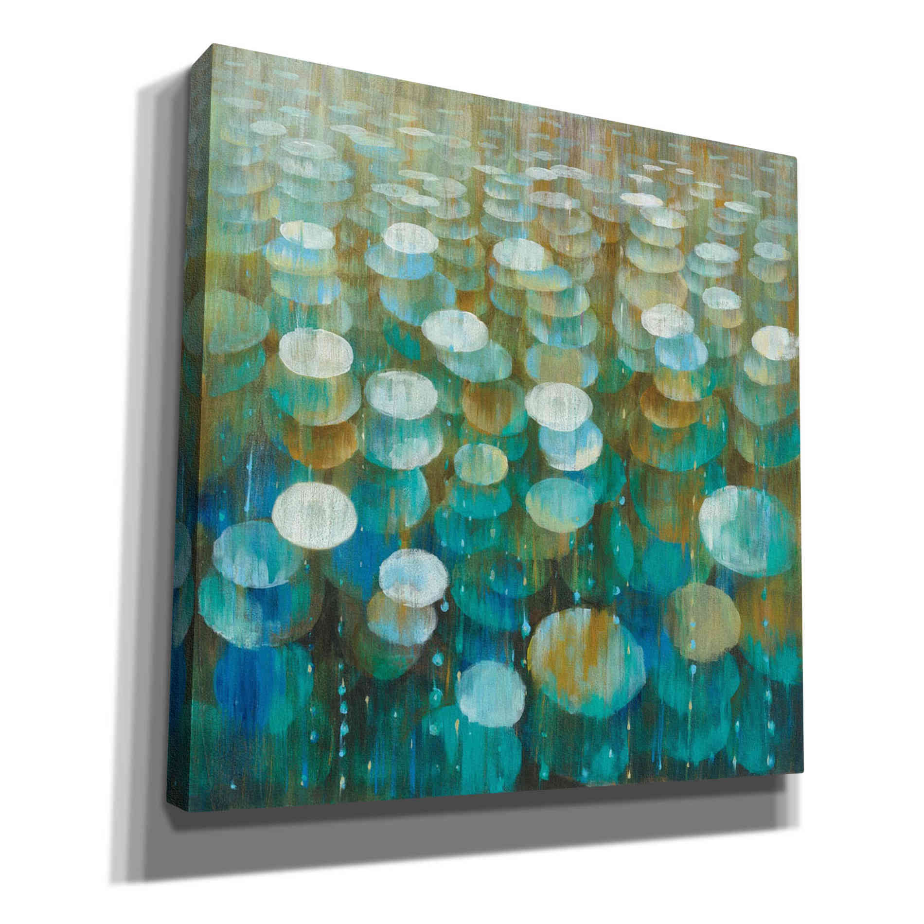 'Rain Drops' by Danhui Nai, Canvas Wall Art