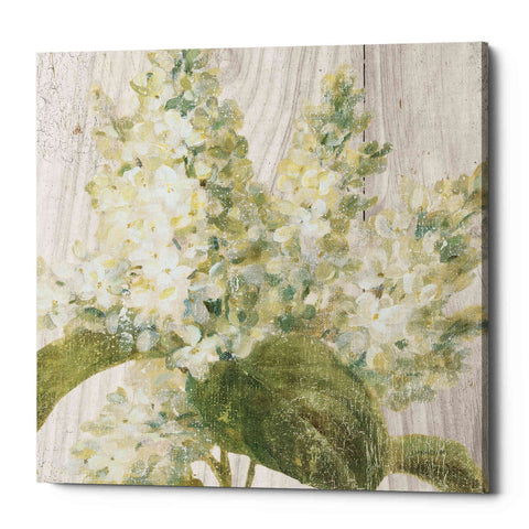 Image of 'Scented Cottage Florals II Crop' by Danhui Nai, Canvas Wall Art