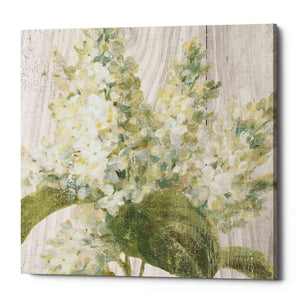 'Scented Cottage Florals II Crop' by Danhui Nai, Canvas Wall Art