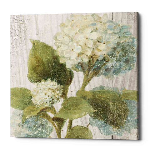 Image of 'Scented Cottage Florals IV Crop' by Danhui Nai, Canvas Wall Art