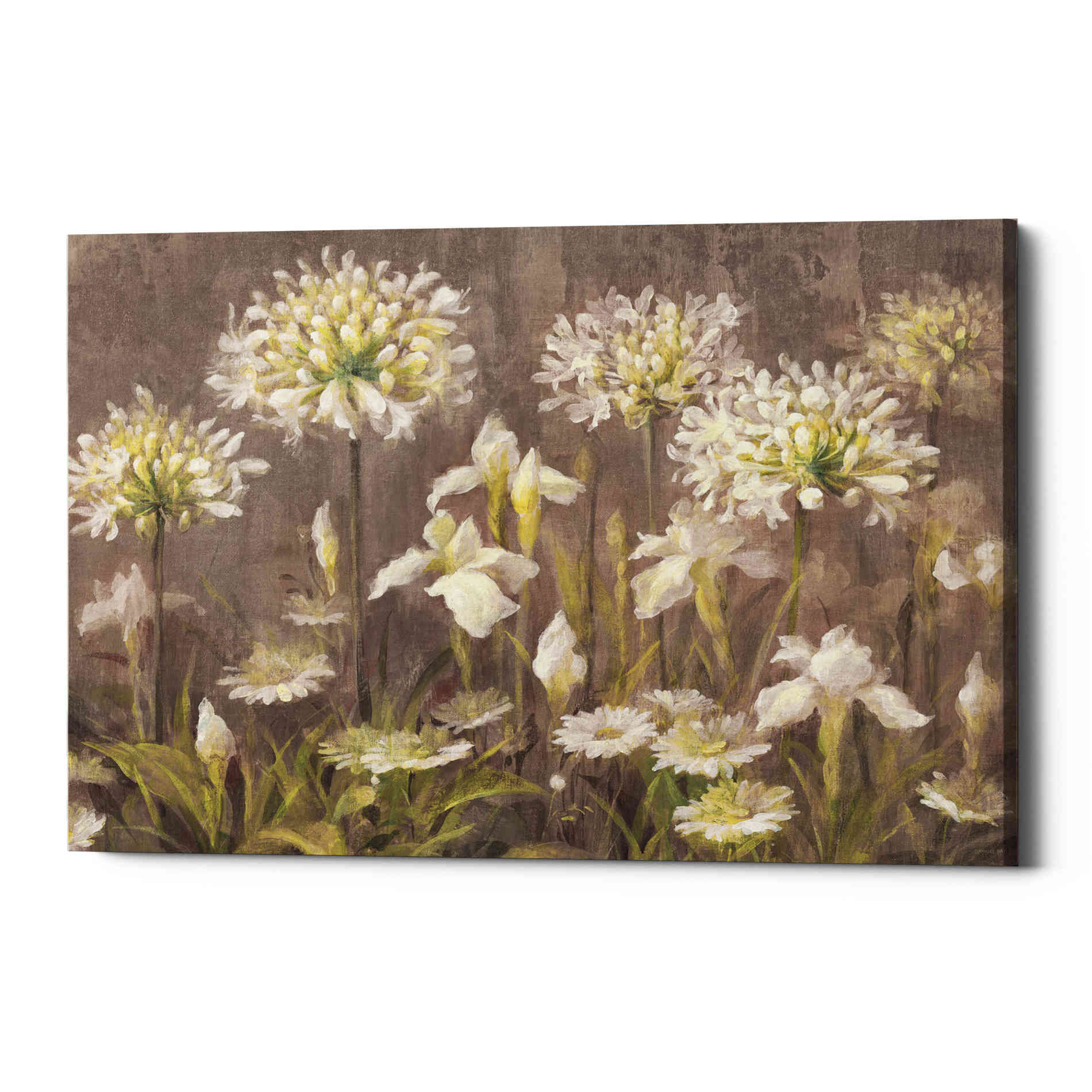 'Spring Blossoms Neutral' by Danhui Nai, Canvas Wall Art