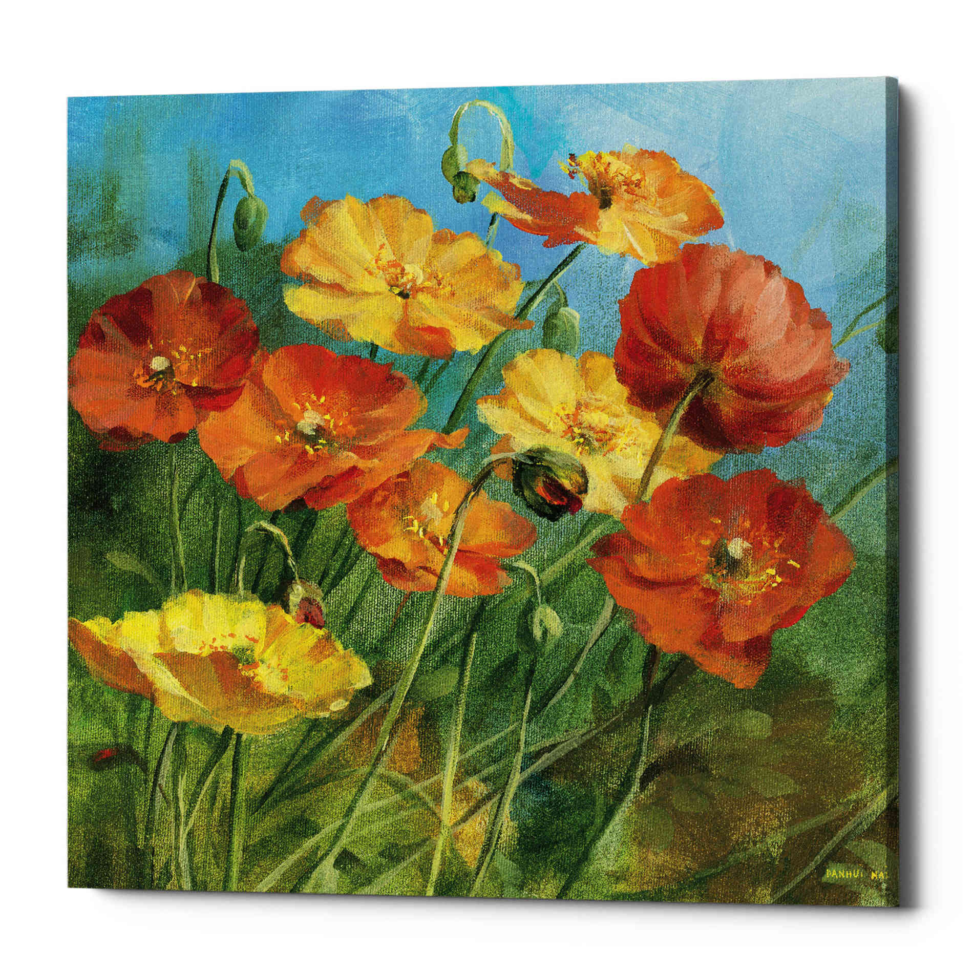 'Summer Field IV' by Danhui Nai, Canvas Wall Art