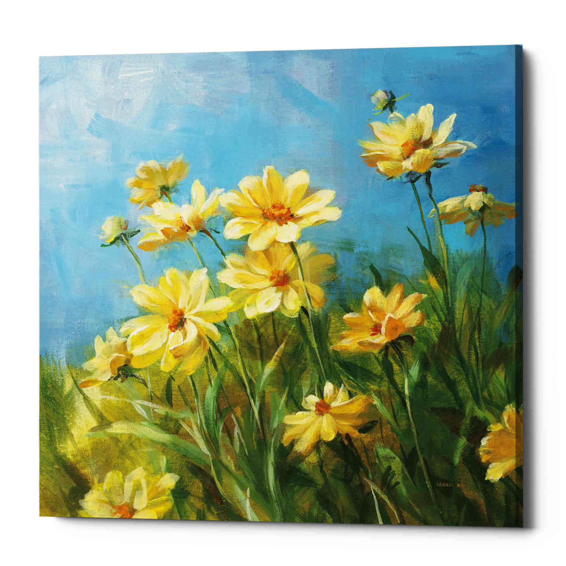 'Summer Field I' by Danhui Nai, Canvas Wall Art