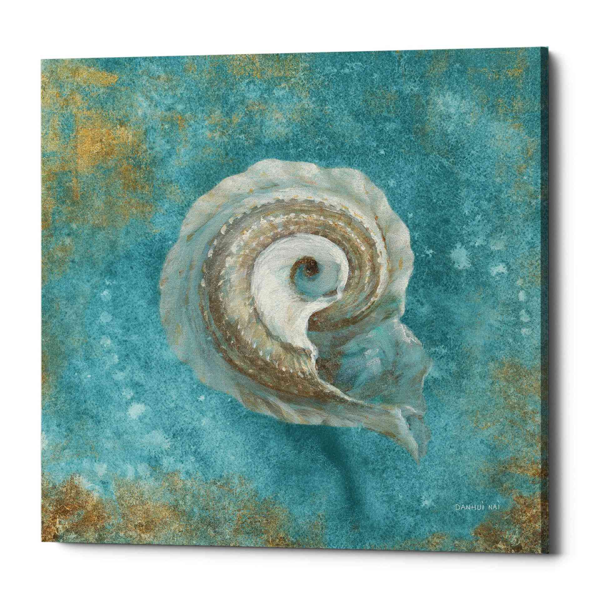 'Treasures From The Sea III' by Danhui Nai, Canvas Wall Art