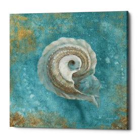 'Treasures From The Sea III' by Danhui Nai, Canvas Wall Art