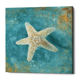 'Treasures From The Sea IV' by Danhui Nai, Canvas Wall Art