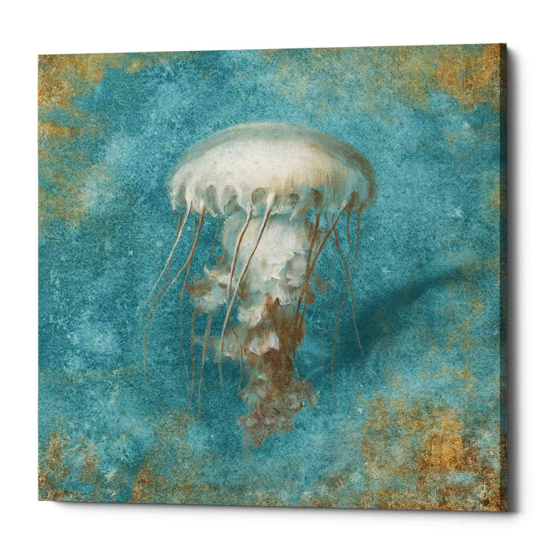 'Treasures From The Sea VI' by Danhui Nai, Canvas Wall Art