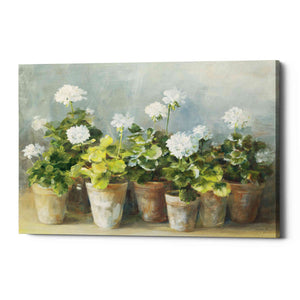 'White Geraniums Crop' by Danhui Nai, Canvas Wall Art