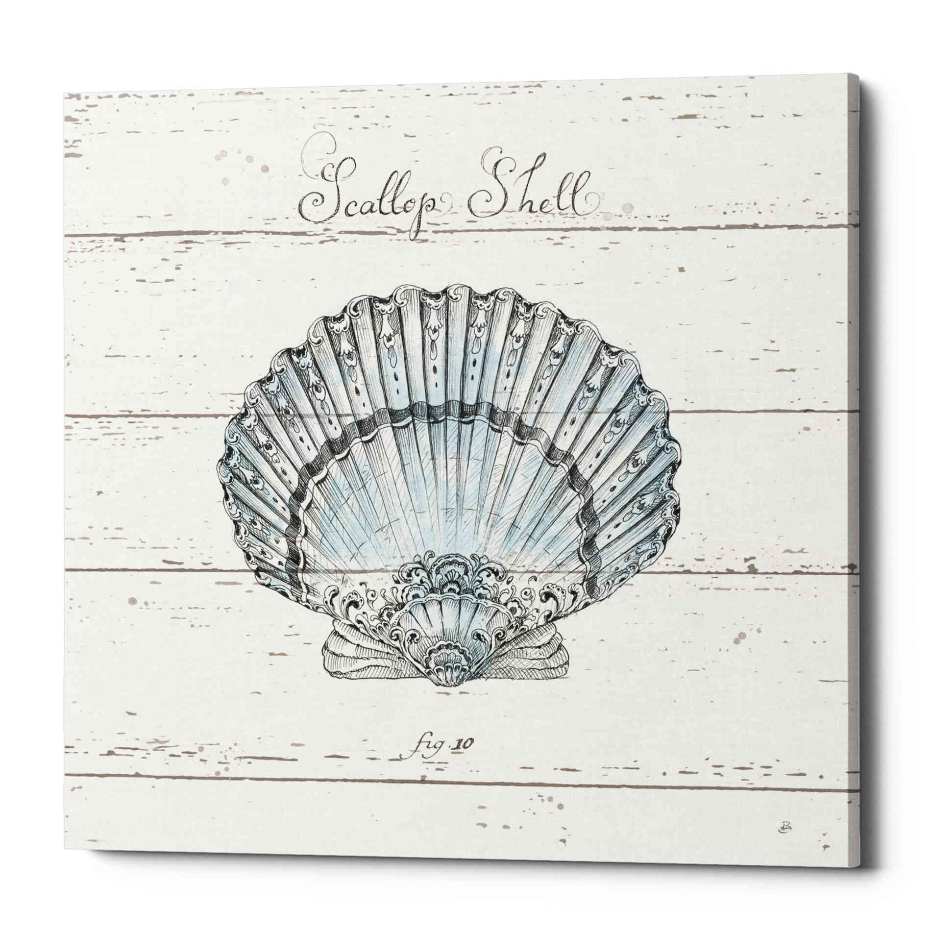 'Aqua Underwater Life VIII Shiplap' by Daphne Brissonet, Canvas Wall Art