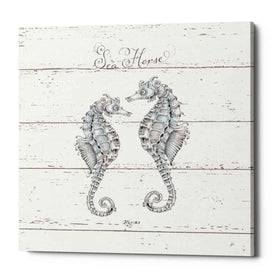 'Aqua Underwater Life V Shiplap' by Daphne Brissonet, Canvas Wall Art