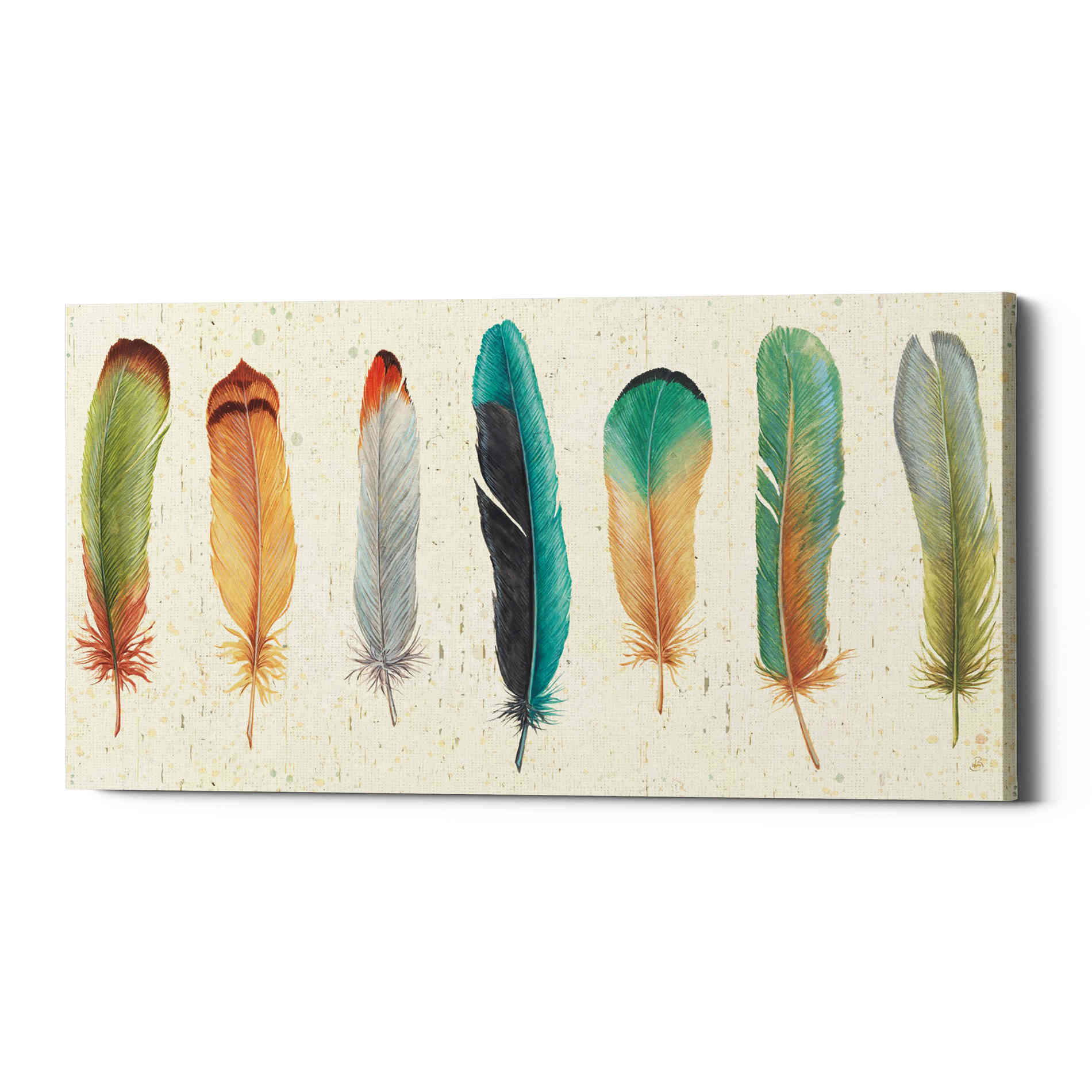 'Feather Tales VII' by Daphne Brissonet, Canvas Wall Art
