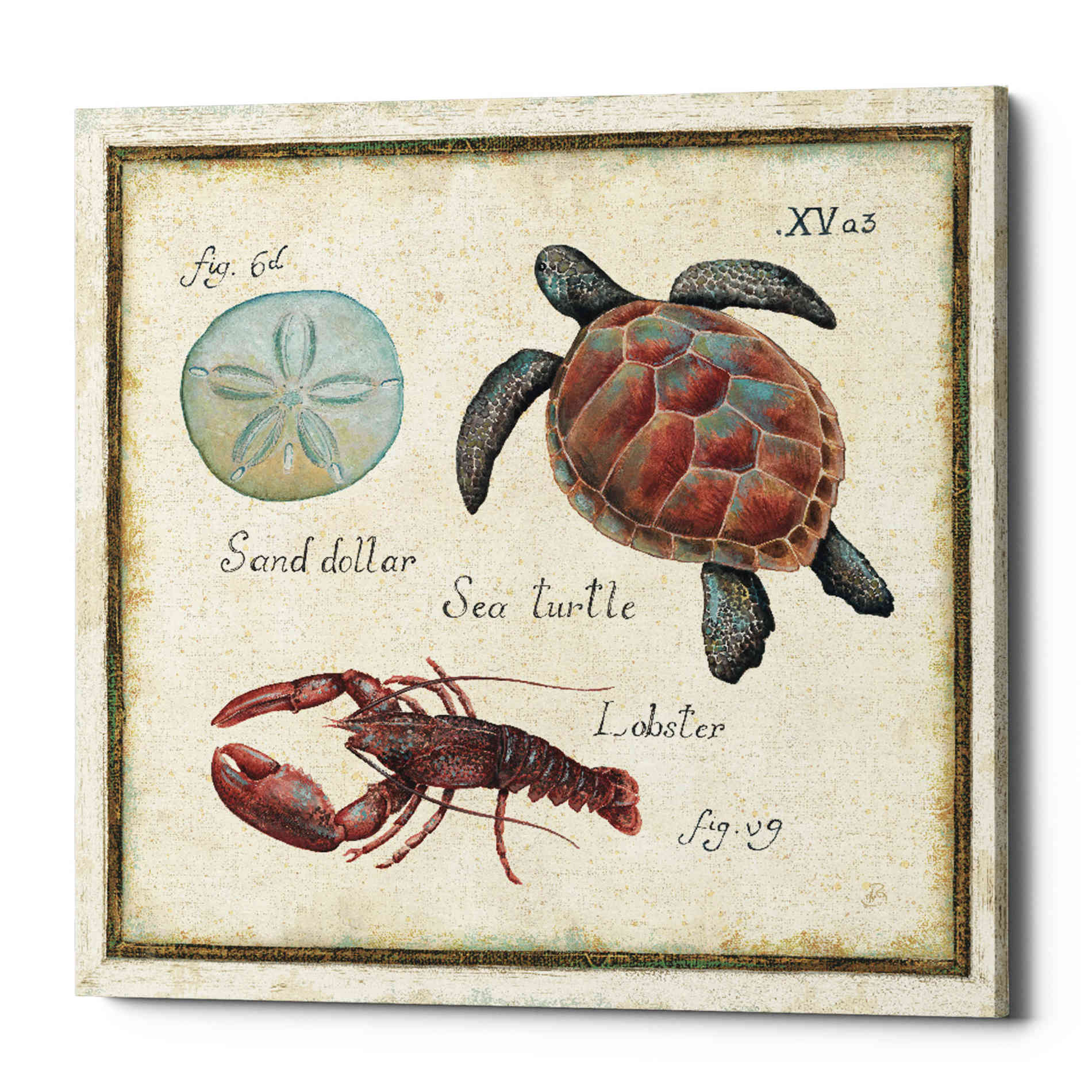 'Oceanography II' by Daphne Brissonet, Canvas Wall Art