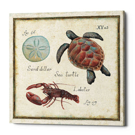 'Oceanography II' by Daphne Brissonet, Canvas Wall Art