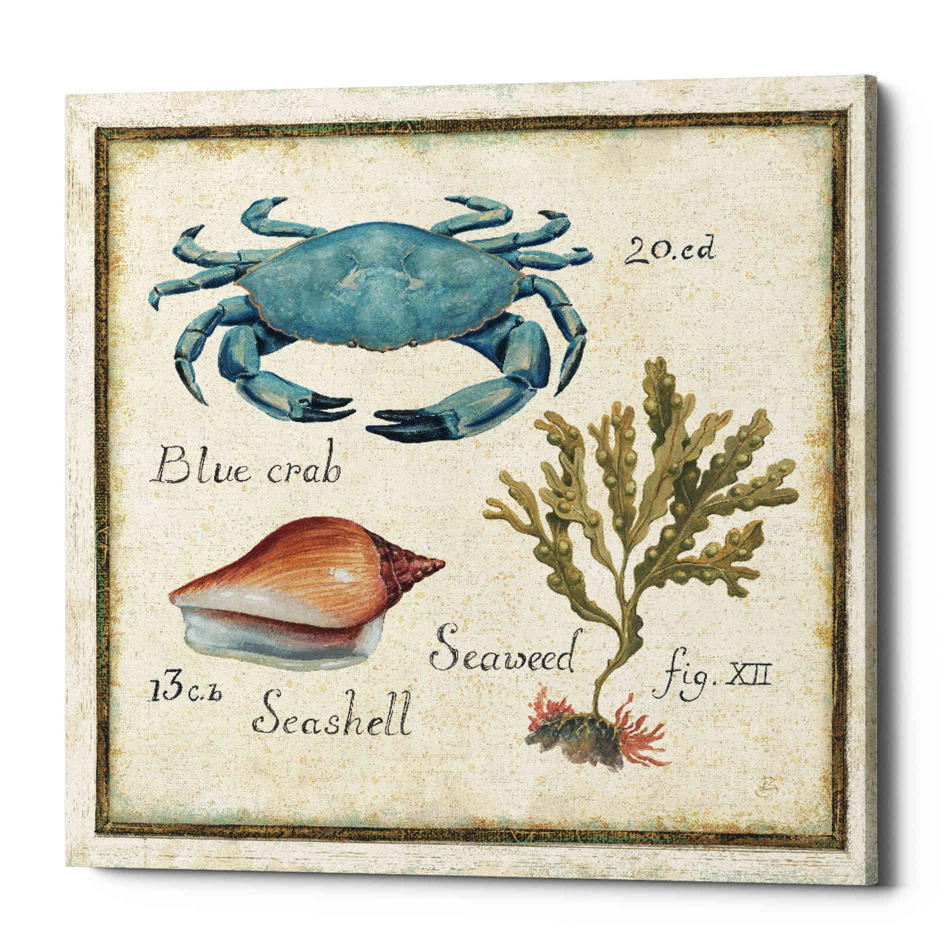 'Oceanography IV' by Daphne Brissonet, Canvas Wall Art