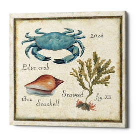 'Oceanography IV' by Daphne Brissonet, Canvas Wall Art