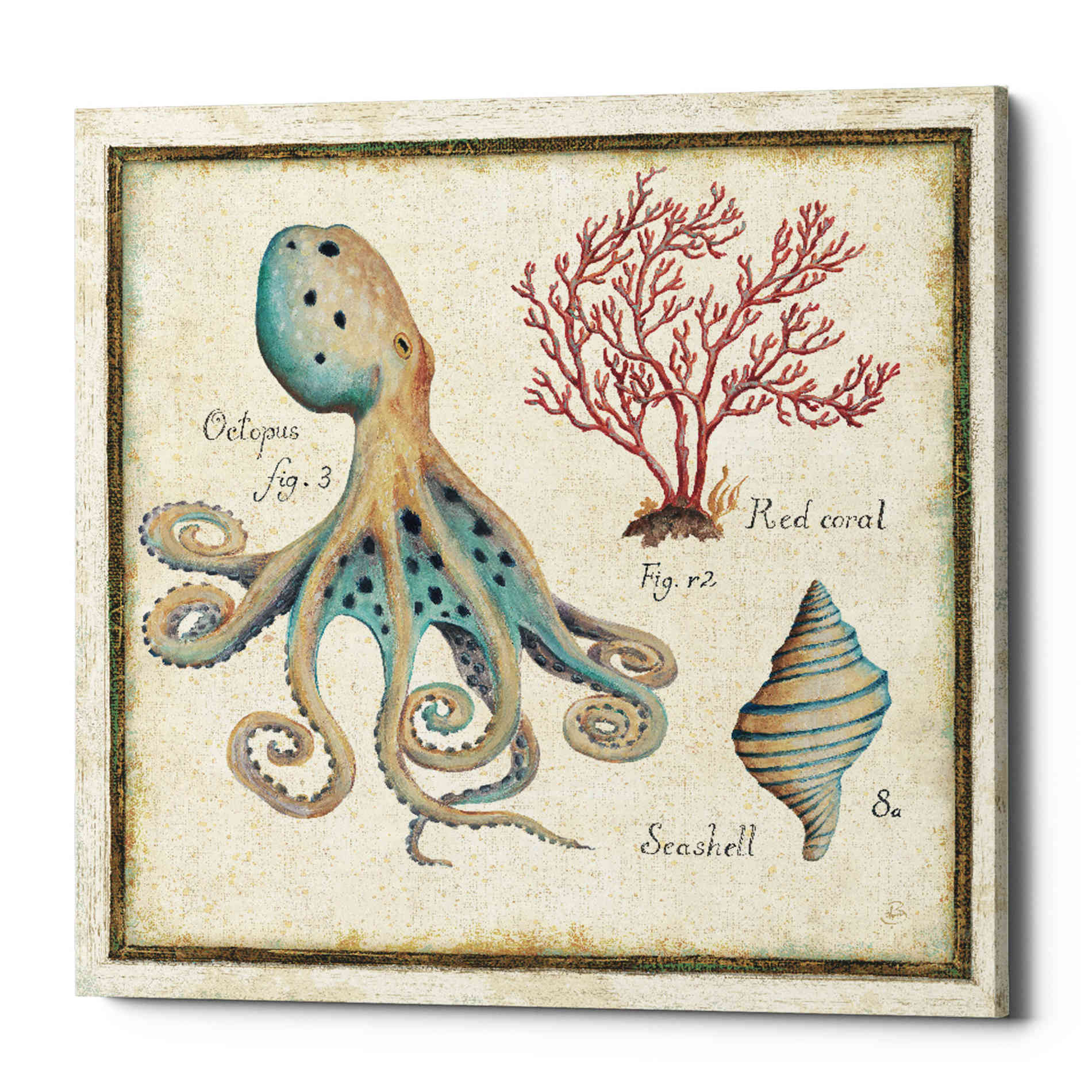 'Oceanography I' by Daphne Brissonet, Canvas Wall Art