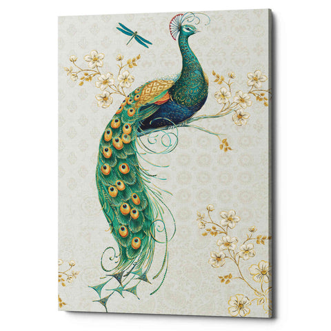 Image of 'Ornate Peacock IXA' by Daphne Brissonet, Canvas Wall Art