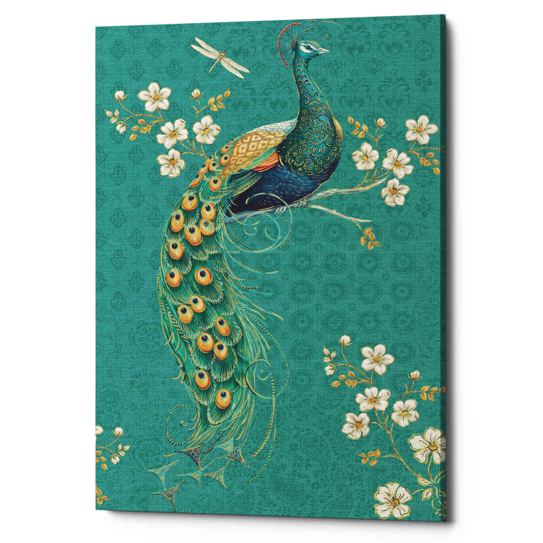 'Ornate Peacock IXD' by Daphne Brissonet, Canvas Wall Art