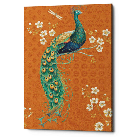 Image of 'Ornate Peacock IX Spice' by Daphne Brissonet, Canvas Wall Art