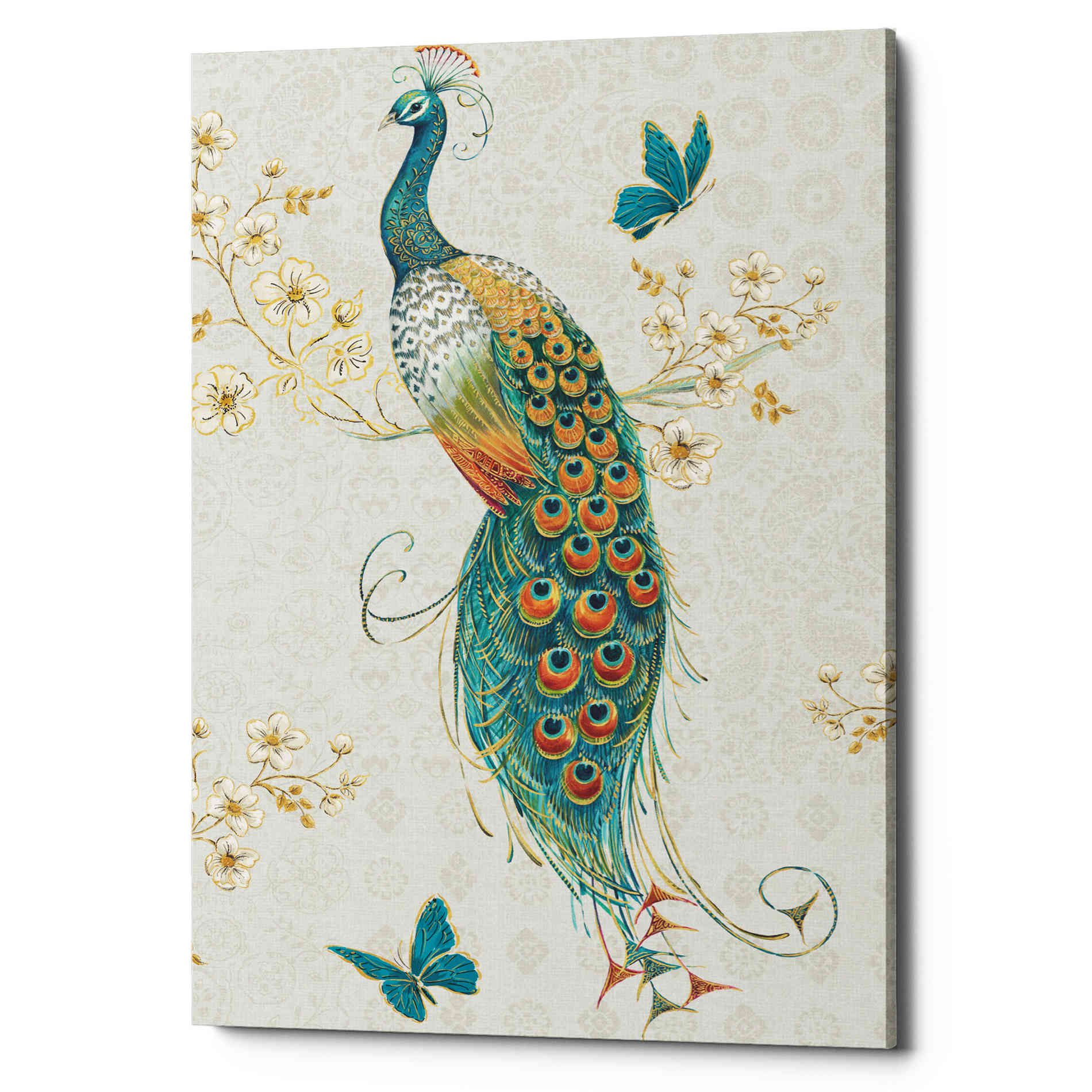 'Ornate Peacock XA' by Daphne Brissonet, Canvas Wall Art