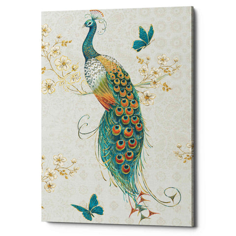 Image of 'Ornate Peacock XA' by Daphne Brissonet, Canvas Wall Art