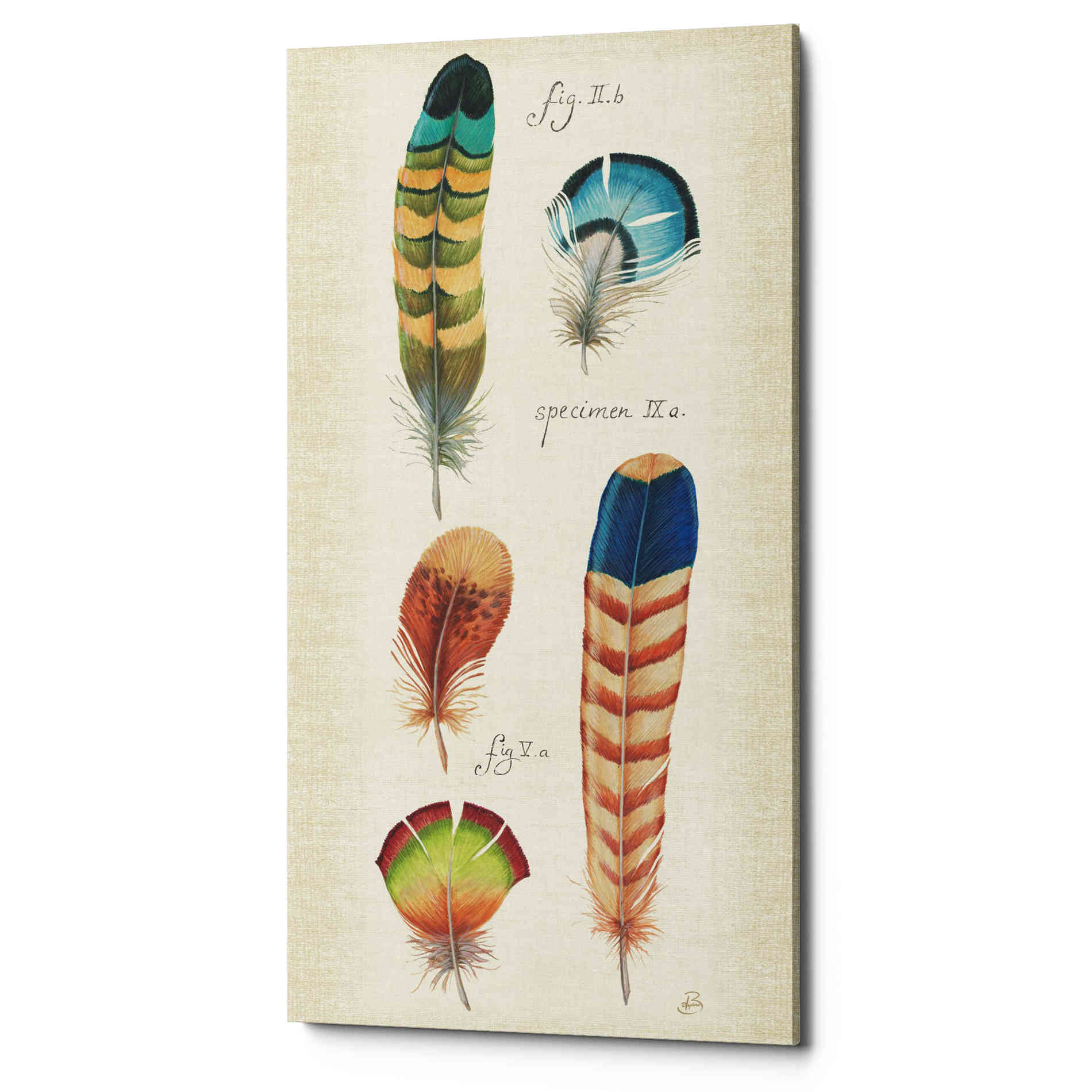 'Ornithology III Panel' by Daphne Brissonet, Canvas Wall Art