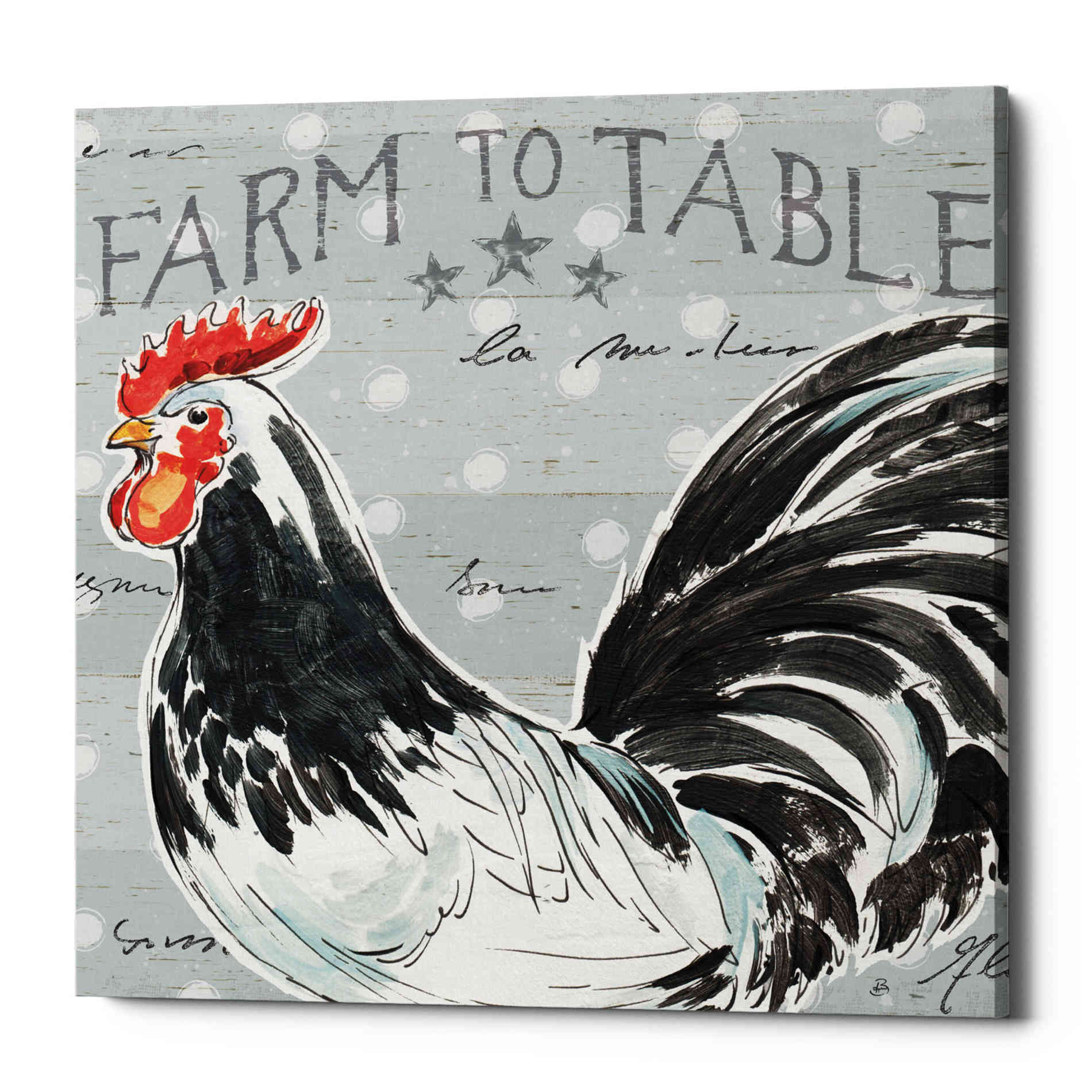 'Roosters Call III' by Daphne Brissonet, Canvas Wall Art