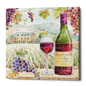 'Wine Country IV' by Daphne Brissonet, Canvas Wall Art