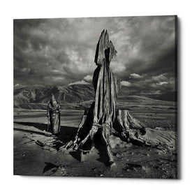 "Archetype" by Dariusz Klimczak, Giclee Canvas Wall Art